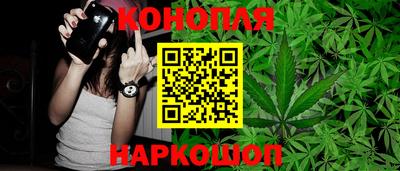 сатива Заводоуковск
