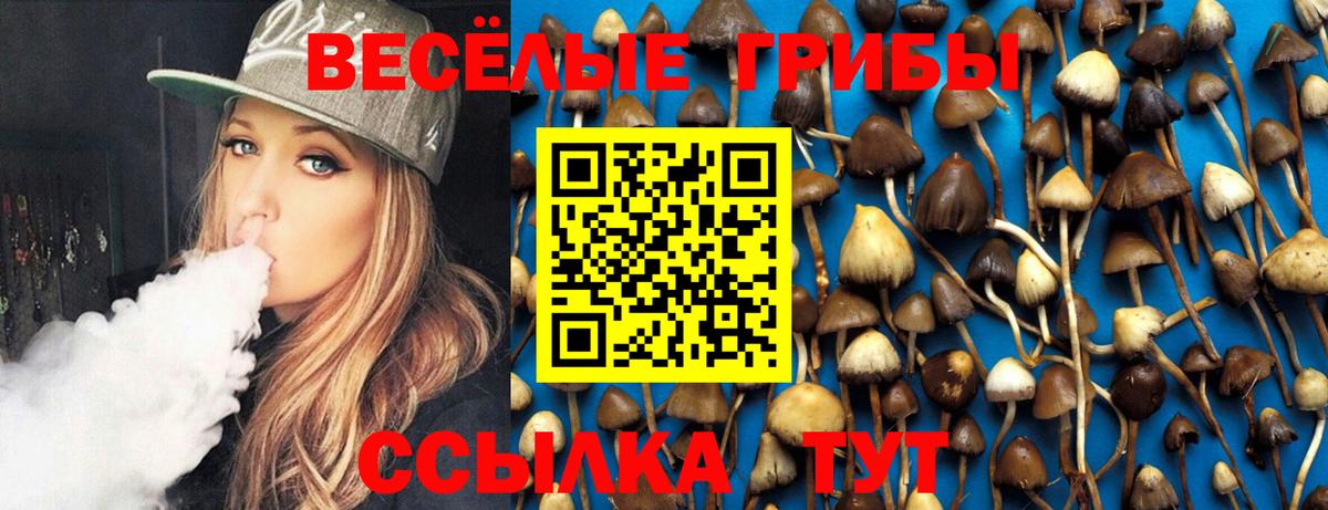 Галлюциногенные грибы прущие грибы Южно-Сахалинск