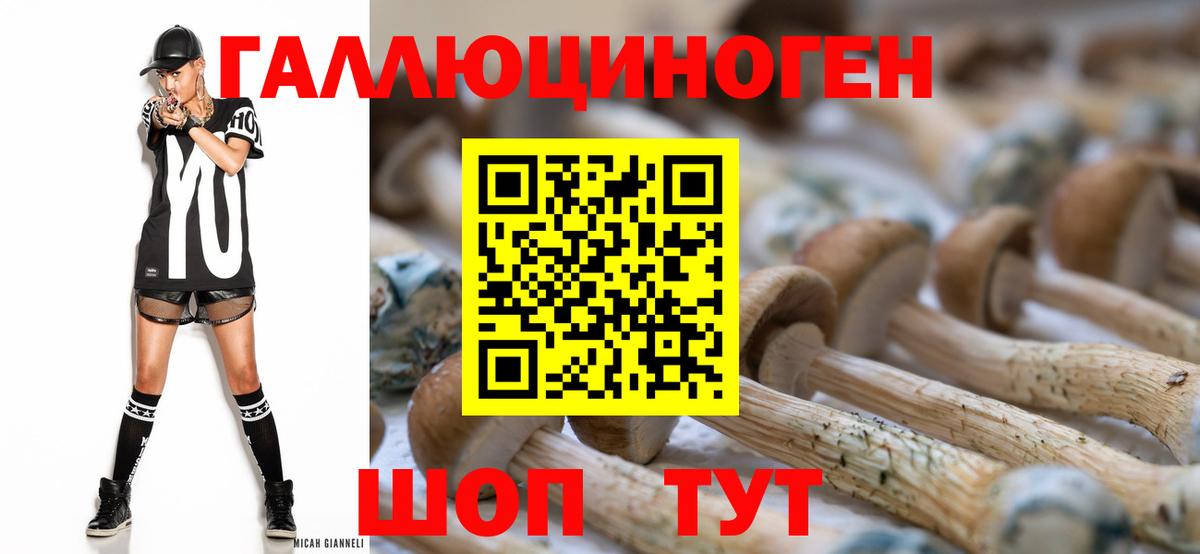 Псилоцибиновые грибы Magic Shrooms  где купить наркоту  Южно-Сахалинск  Вход с VPN 